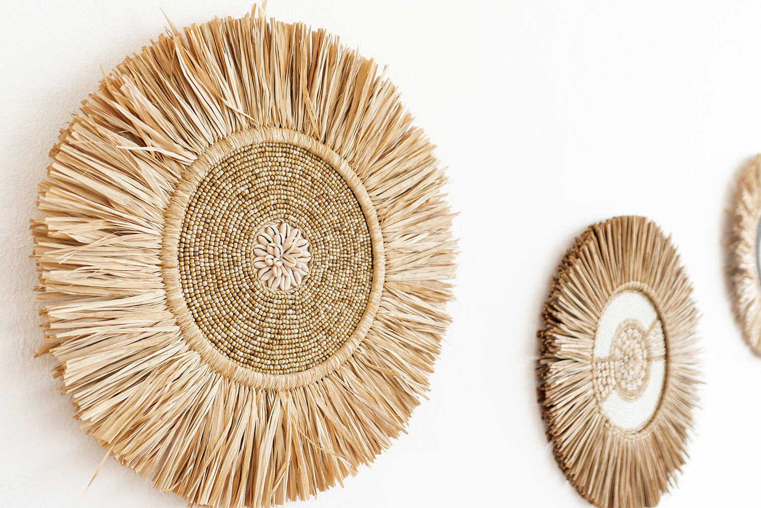 Water hyacynth and cowrie shell wall decor set of 3