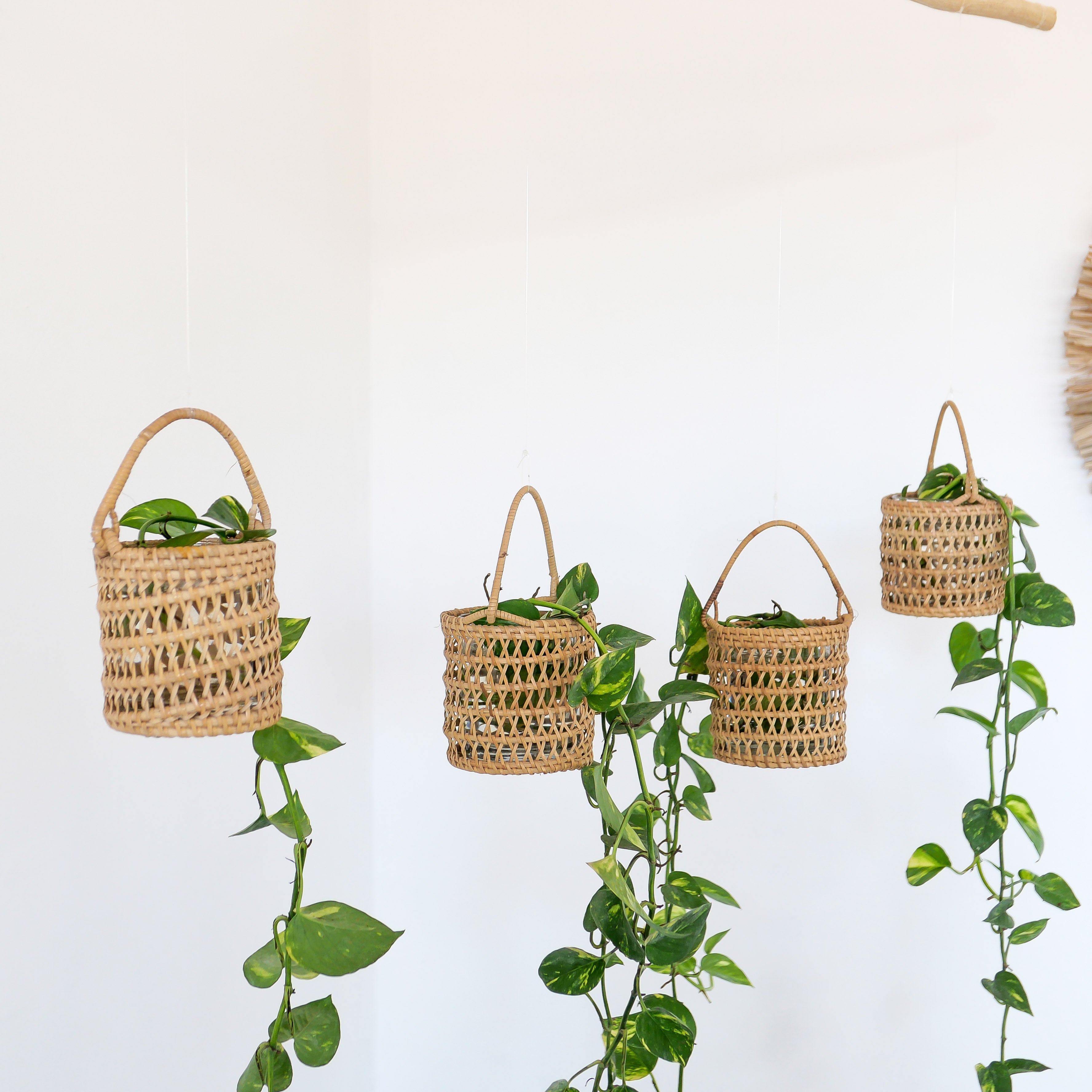 Hanging Rattan Basket Set -  Basket Set | Joglo Living