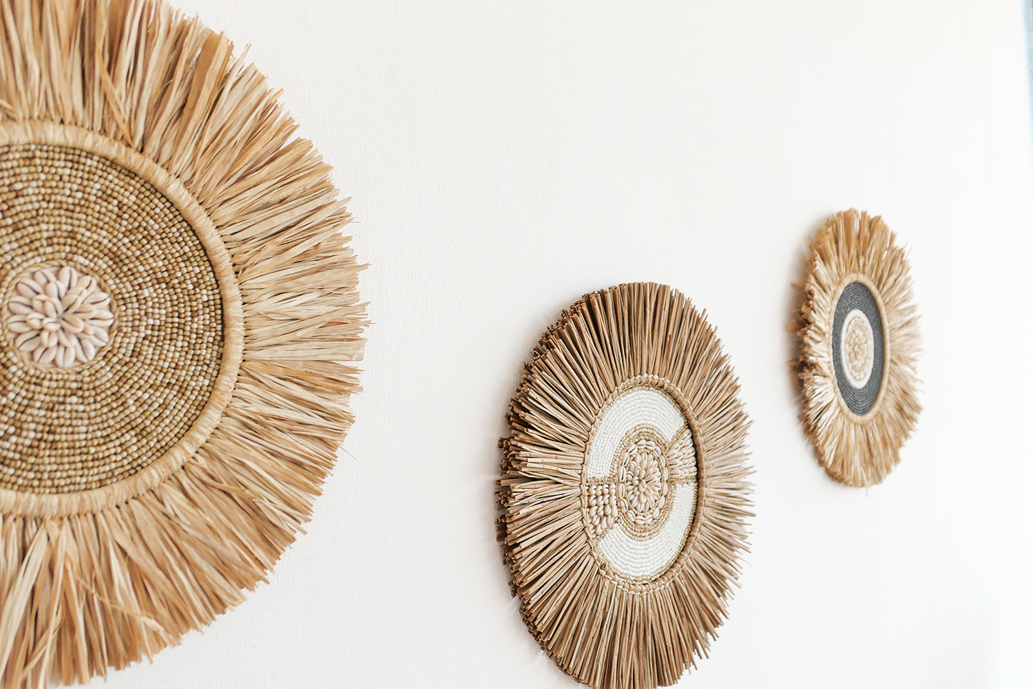 Water hyacynth and cowrie shell wall decor set of 3