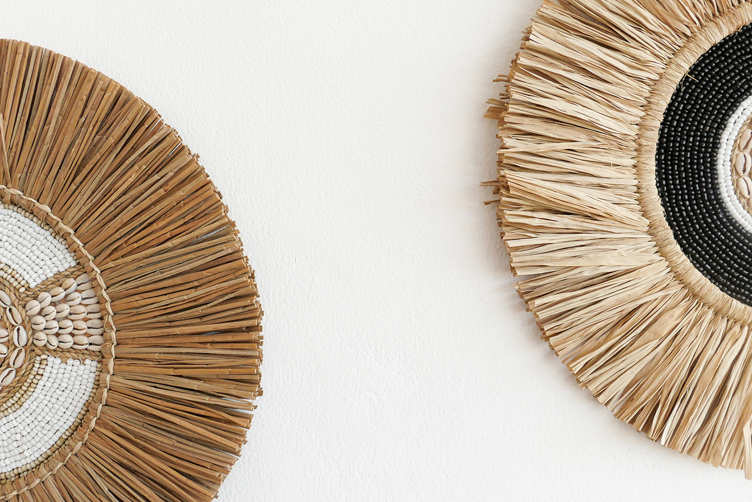 Water hyacynth and cowrie shell wall decor set of 3